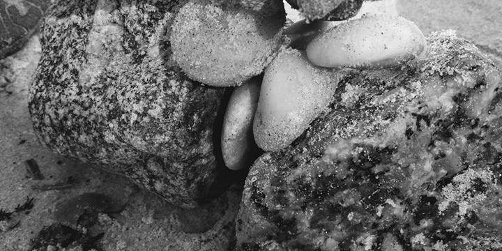 42310163_10216827654673464_1402933578131570688_n