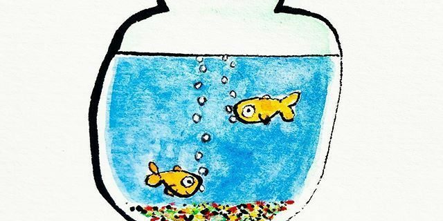 pez pecera