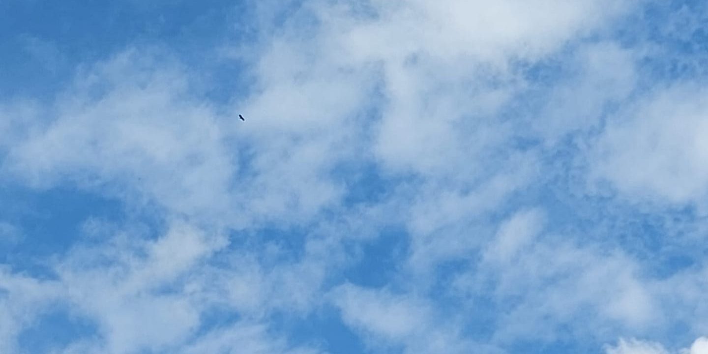 241232155_10225503659848171_3655467974602752865_n